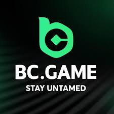 BC App Casino A Comprehensive Guide for New Users
